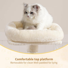 Heybly Arbre à chat poteaux en sisal pour griffage naturel