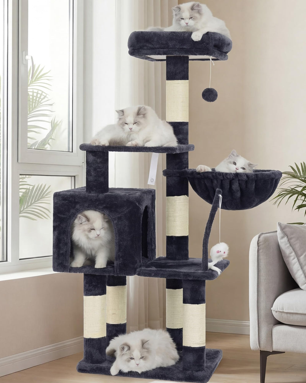 Heybly Arbre à chat avec jouet: divertissement et interaction pour chats actifs.