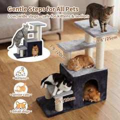 Heybly base stable anti-chute : stabilité fiable pour petits chiens et chats.
