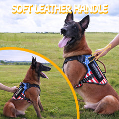 HEYCAHVA gilet service-dog-vest-attaches-multiples, trois points de fixation pour la longe