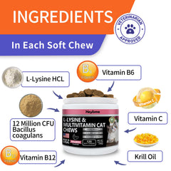 HEYISME tablettes Lysine chat saumon – complément complet pour la nutrition féline.