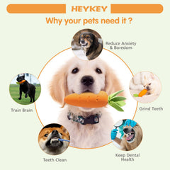 HEYKEY jouet saveur lait, stimule le jeu et attire l’attention du chien