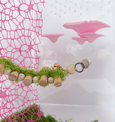 Heyshapeing ruban mousse rose, tissu doux pour dissimuler et organiser le terrarium.