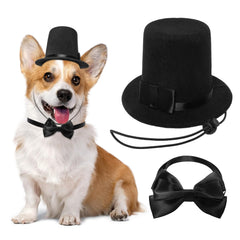 Hftjtsa chapeau petit chien formel, élégant pour photos et cérémonies.