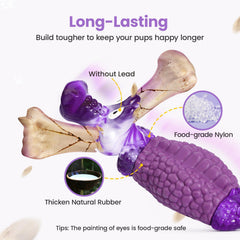 Jouet HGB violet, couleur attrayante pour attirer l’attention du chien.