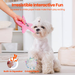 Jouet peluche HGB étoile de mer, adapté pour petits et moyens chiens.