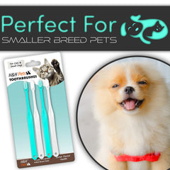 HH Pets brosse-dent petit format, accès facilité sur dents avant et arrière