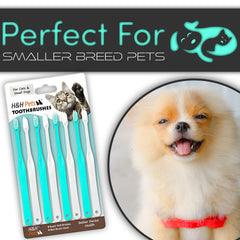 Brosse dentaire H&H Pets pour petits chiens et chats — poignée courte pour un maniement facile.