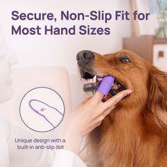 Brosse dentaire HICC PET anti-glisse, prise stable pour les sessions.