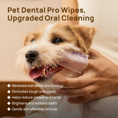 lingettes HICC PET Pro réduisant plaque et haleine fraîche après utilisation