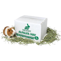 High Desert Alfalfa: foin tendre en boîte 1 livre, idéal pour jeunes animaux.
