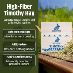 High Desert foin Timothy 2e coupe, texture douce pour cobayes et alimentation quotidienne.