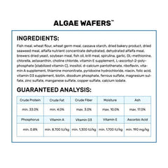 Hikari galettes algue tropical paquet ouvert prêt à nourrir vos poissons