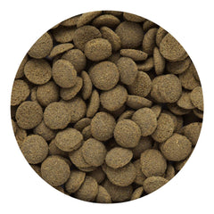 Hikari galettes coulantes – bassin aquatique pour une alimentation en douceur.