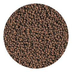 Hikari Marine-S Granules conviennent aux petits carnivores et omnivores marins.