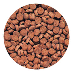 Hikari Pellets Carnivore absorption eau illustrant la texture qui rappelle une proie vivante