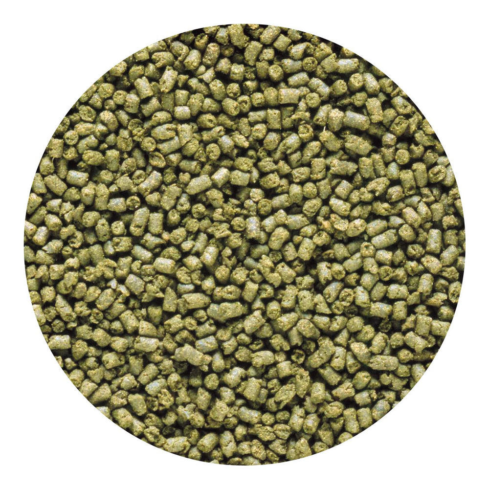 Hikari pellets marins herbivores favorisent croissance et morphologie proche des récifs