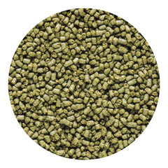 Hikari pellets marins herbivores favorisent croissance et morphologie proche des récifs