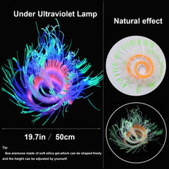 Lotus corail lumineux HIKTQIW, ambiance sous-marine scintillante.