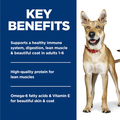 Hill's Science Diet Adulte 1-6, ingrédients naturels visibles pour chien