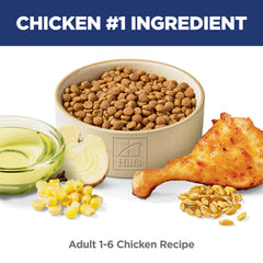 Hill's Science Diet Adult poulet ingrédients naturels croquettes pour chat actif.