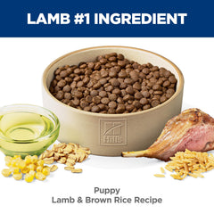 Hill's Science Diet Chiot – DHA et oméga-3 pour développement cérébral et oculaire.