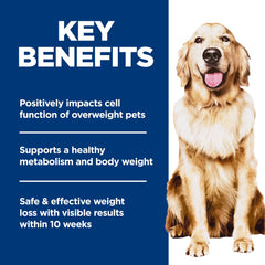 Hill's Science Diet ingredients naturels; croquettes poulet-riz-brun formulation saine.