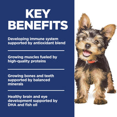 Hill's Science Diet Puppy Petit et Mini: antioxydants pour immunité en développement.