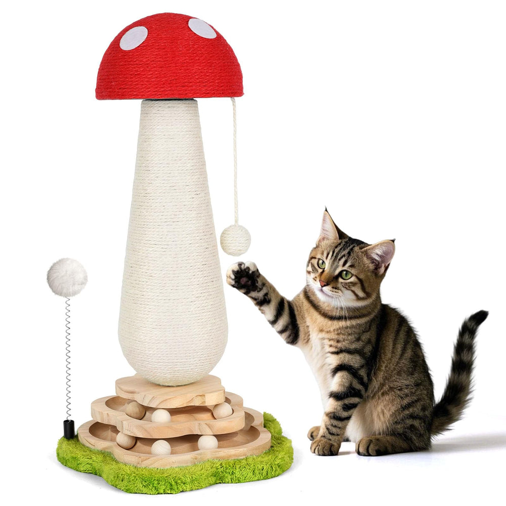 Himake champignon poste griffage: divertissement durable pour les griffes
