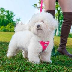 Hipubby harnais chien avec anneaux d'attache sécurisée pour promenade.