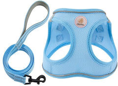 Harnais Hipubby pour chien enfilage bleu, confort et sécurité lors des balades.