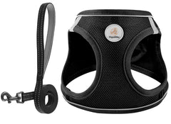 Hipubby harnais pour chien en mesh doux, comfort et liberté lors des promenades urbaines.