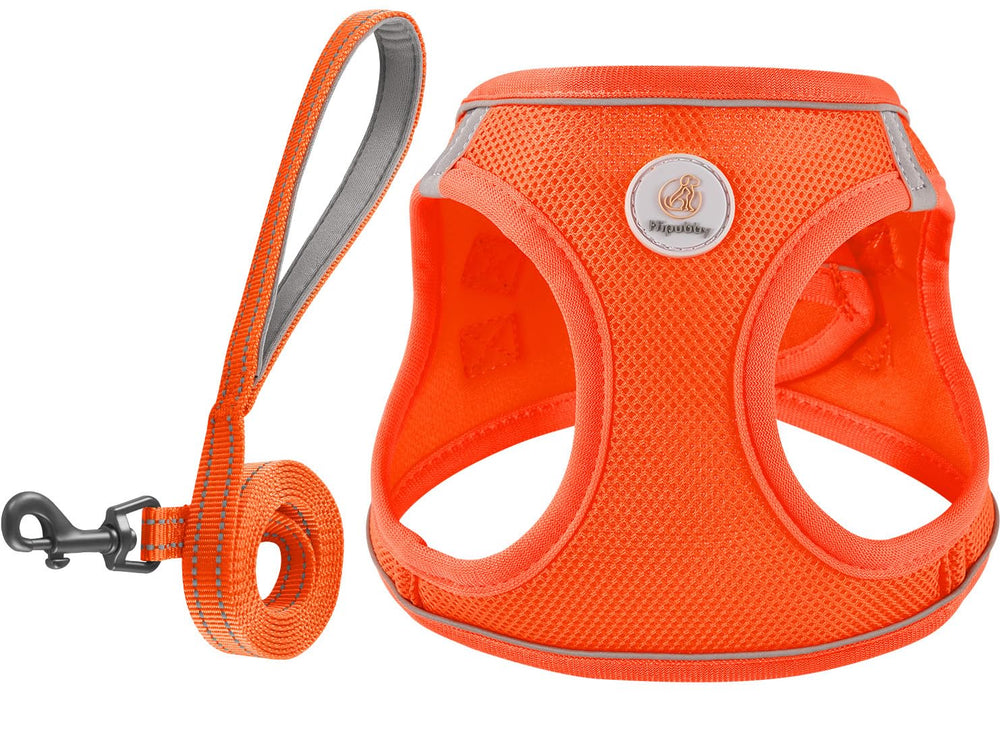 Harnais Hipubby avec réflectivité à 360° pour promenade nocturne.