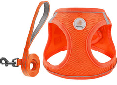 Harnais Hipubby avec réflectivité à 360° pour promenade nocturne.