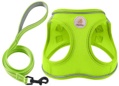 Harnais Hipubby avec bande réfléchissante pour chien, visibilité nocturne.