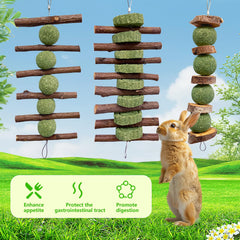Hiwzitar jouet-lapin-decouverte encourage l’exploration et la curiosité.
