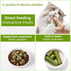 HKPetty jouet-chat-grignotage: jouet stimulant qui encourage la mastication.