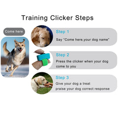 HoAoOo clicker dressage chats, communication rapide et ludique.