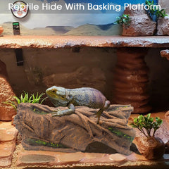 Hoeine cache-refuge reptile : texture extérieure adhérente pour grimper.