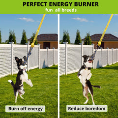 HOKINETY hauteur ajustable, attache rapide pour varier la hauteur selon la taille du chien.