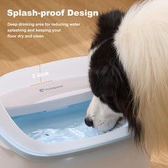 HOLAPAW anti-eclaboussures – protege votre sol lors des repas des chiens et chats.