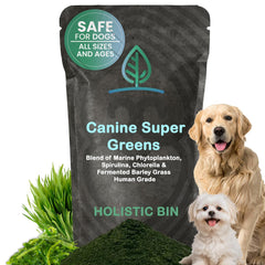Holistic Bin Chien Poudre Vertes Algues: digestion facilitée et appétit amélioré
