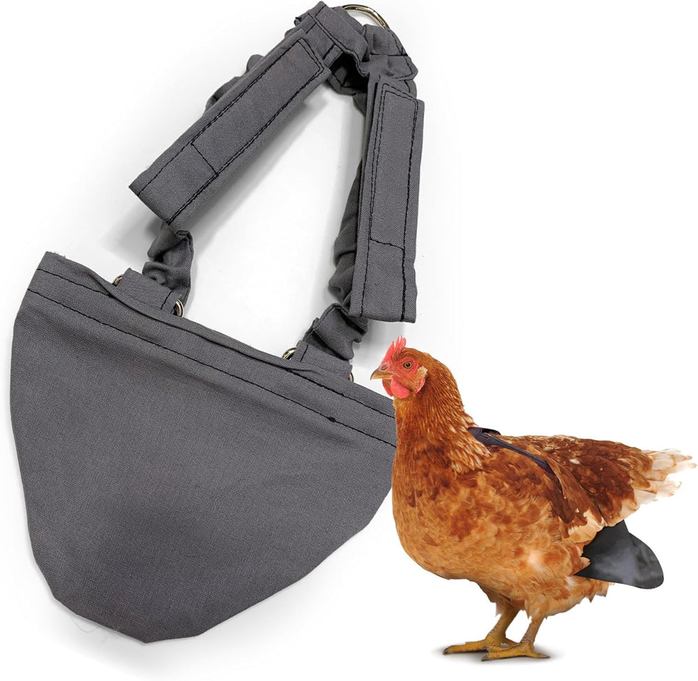 Holster couche poules gris avec doublure amovible en vinyle pour le confort.
