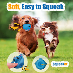 HOLYSTEED Ensemble de 6 jouets: stimulation mentale et divertissement lors des sessions de jeu.