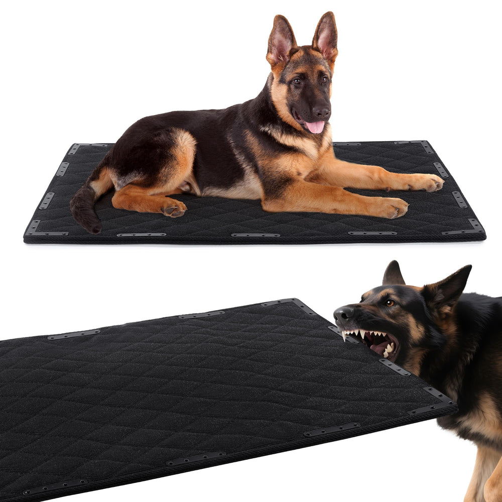HOMBYS Tapis-Dortoir incassable avec 14 rivets, idéal pour chiots qui mâchent.
