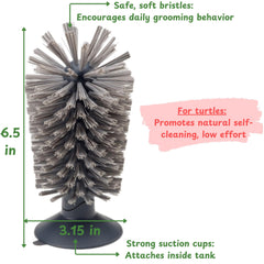 Brosse manuelle double-tête Homedy Crafts pour nettoyage précis de la coquille.