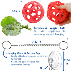 Homedy Crafts hamac dragon barbu rouge etages, espace d'exploration et d'observation.