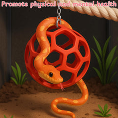 Homedy Crafts parcours d'escalade serpents balle, séance d'escalade interactive pour reptiles.