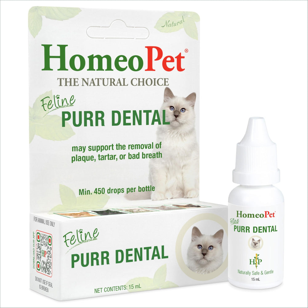 Flacon HomeoPet Feline Purr Dental prêt à l'emploi pour l'hygiène dentaire féline.