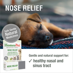HomeoPet Nose Relief : gouttes – administration simple, peut aider à apaiser les symptômes nasaux.